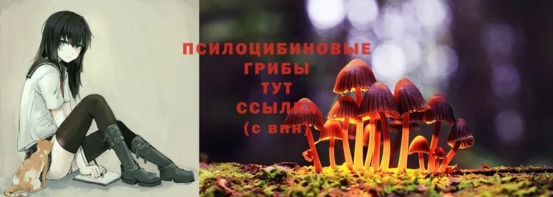 OMG ссылки  Вольск  Галлюциногенные грибы Cubensis 